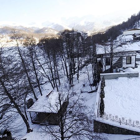 Hotel Victoria Bakuriani Kültér fotó