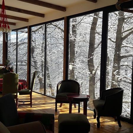 Hotel Victoria Bakuriani Kültér fotó