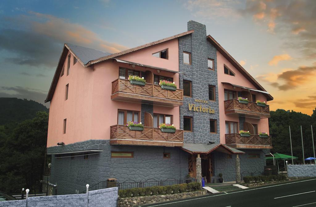 Hotel Victoria Bakuriani Kültér fotó