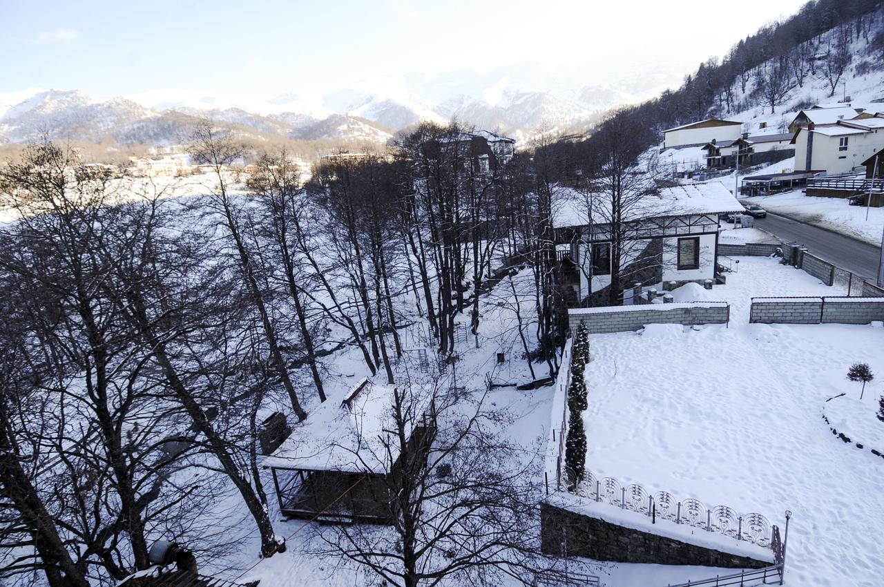 Hotel Victoria Bakuriani Kültér fotó