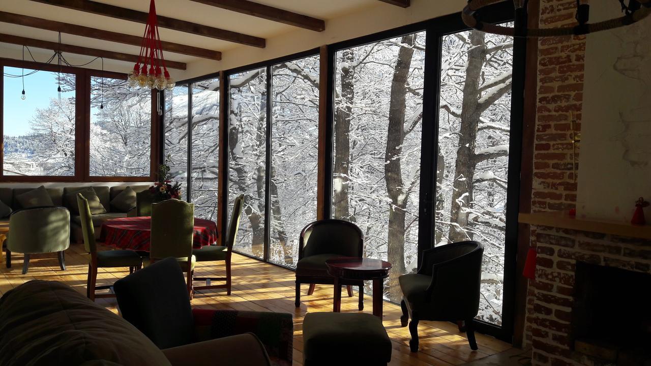 Hotel Victoria Bakuriani Kültér fotó